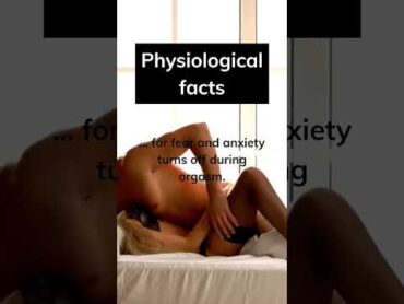 Did you know? shorts  sex love marriage partnership physiology facts