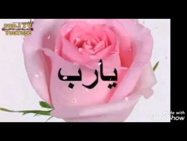 يارب لك الحمد والشكر  (حالات أ دعية)