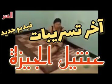 عاجل  عنتيل الجيزة  آخر فيديوهات عنتيل الجيزة  فيديو جديد للعنتيل