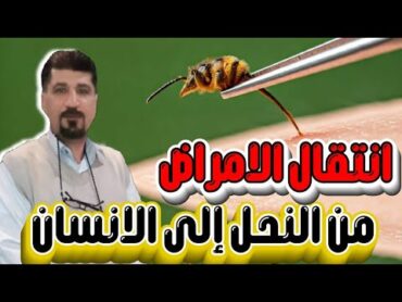 انتقال الامراض من النحل الى الانسان 😱 الاستاذ رشدي زريقي