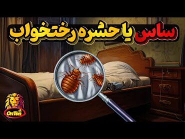 ساس یا حشره رختخواب آفتی که نباید اجازه دهیم به خانه هایمان وارد شوند