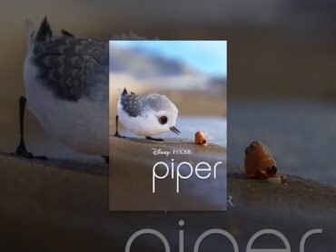 Piper