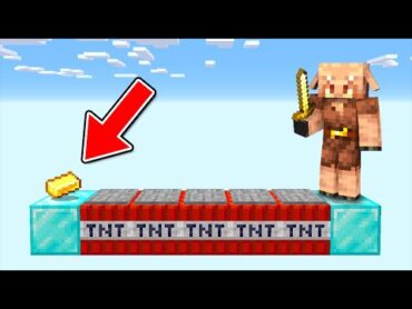 PIGLIN IQ TEST  Minecraft