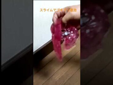 スライムでゴキブリ駆除