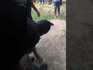 African Americans get their feet washed after walking to the last slave bath.usa  africanamerican