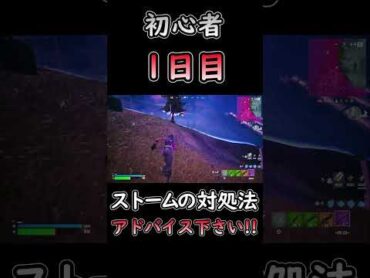 ストームに巻き込まれたら...?? フォートナイト fortnite 初心者