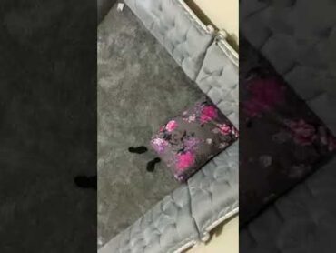 ١٢ فبراير، ٢٠٢٥