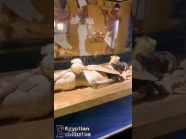 مومياء الملك توت عنخ امون egypt ancientegypt tutankhamon