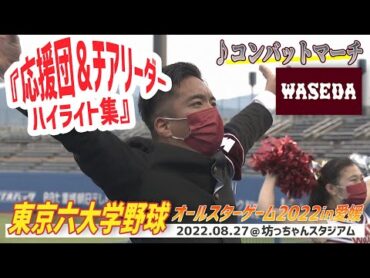 東京六大学野球オールスターゲームin愛媛⚾応援団＆チアリーダーハイライト集【早稲田大・コンバットマーチ】