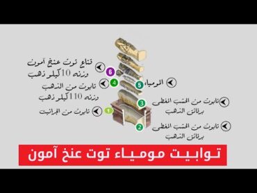 معلومة على الماشى  توابيت مومياء الملك توت عنخ آمون