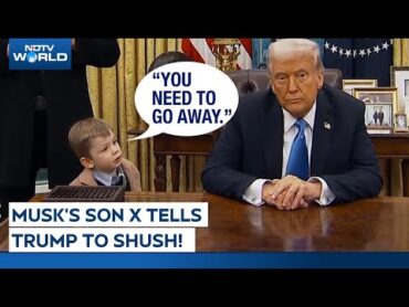 Musk&39;s Son Viral Video  Elon Musk&39;s Son X Æ  Tells Donald Trump To &39;Shush His Mouth&39;  Trump News