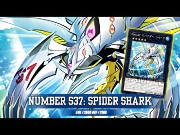 Shining Spider Shark !! Number S37: Spider Shark DECK NEW CARD  YGOPRO