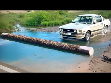 Car vs Fallen Tree & Deep Water Challenge in BeamNG Drive