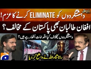 Determination to eliminate the terrorists  Rana Sanaullah clarified  Jirga  Geo News