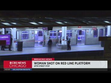 Woman shot, killed during argument on CTA Red Line platform on Chicago&39;s South Side