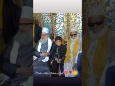 ( Kichhauchha) Gaddinashin Hazrat Ashraf Miya ( Agra ) Gaddinashin Hazrat Najmul Hasan qadri Ashrafi