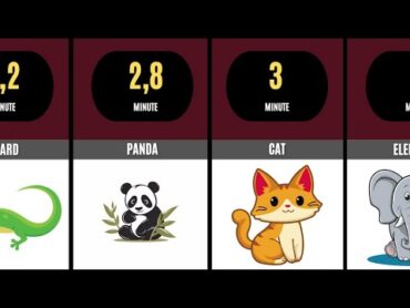 Animal Mating Durations : Which One is the Fastest and the Longest