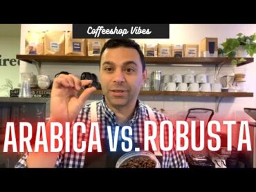 Arabica vs Robusta Coffee  Differences & Tasting Profiles