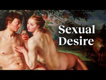 Good sex explained in 9 minutes  Dr. Emily Nagoski
