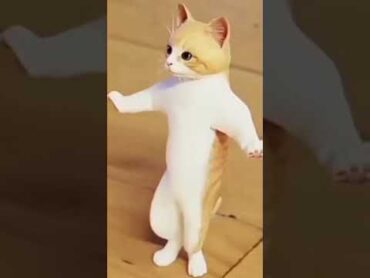 بسبوس عاشق بسه 🥰😍😂🌹❤️