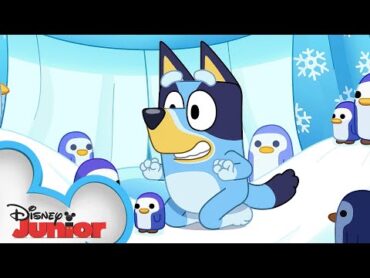Bluey Season 3 Episode 38 "Cubby" Episode Clip  @disneyjr x @BlueyOfficialChannel