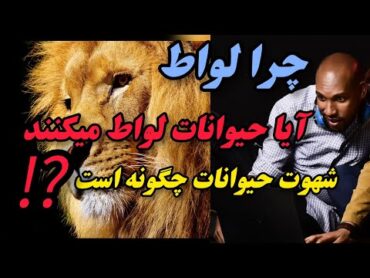 چرا در آخرزمان لواط رایج و آشکار شده