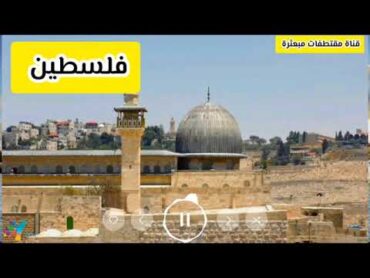 زامل غزه ادى عيسى الليث 🇾🇪زوامل اليمن السعودية اكسبلور حالات الجزائر shortvideo art شيلات