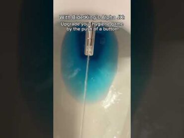 3 Reasons Why You May Need A Bidet Toilet Seat  BidetKing.com