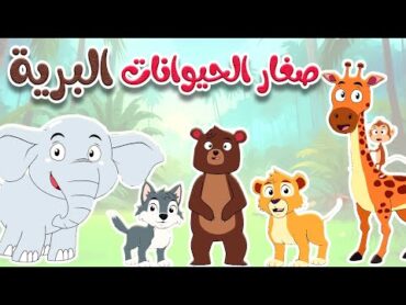 أغنية صغار الحيوانات البرية  قناة أسرتنا