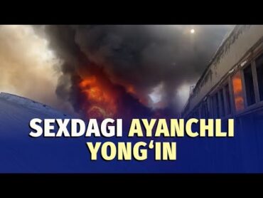 Yakkasaroyda sex portlab, 2 kishi halok bo&39;ldi