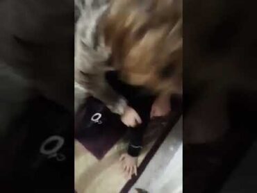 خناقة نسوان بلدى