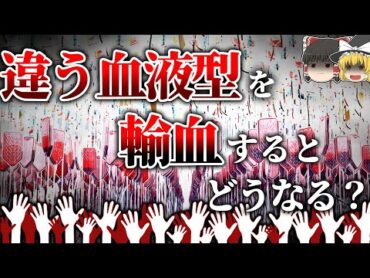 【動画アリ】別の血液型の血を混ぜると体内でどうなるのか【ゆっくり解説】【雑学】