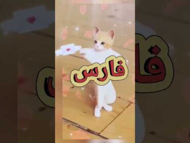 الاكتر طلبا.......فارسفارس تيكتوك ترند السعودية تيك توك ترند funny shorts