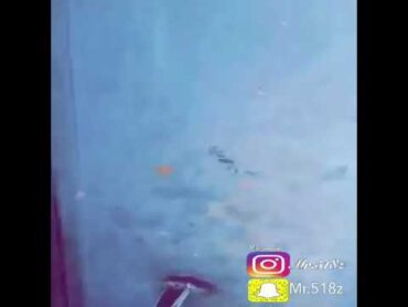 شوف وش سواا اغتصاب ولد 😂😂 الوصف كله مهم