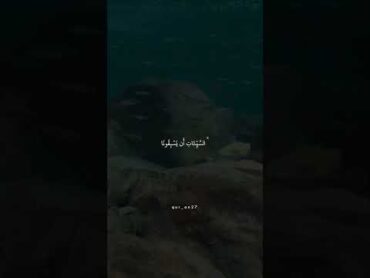 ‏يا الله الآيات البسيطة كلها 15 ثانية استمع وانت ما الذي يغص بك عشان ما تستمع اكتب بالتعليقات🤲