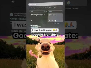 Google Translate moment 😇