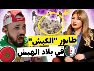 شاهد تعليق الاعلام العربي على فضيحة استعمال القرعة في توزيع خروف عيد الاضحى في الجزائر🔴