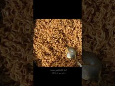 عشاء لـ اهلي من أيدي 💁🏻✨تباً للوزارهكلا كلا للوزارهاكسبلورلايكجنهجيجي٢٠٢٥