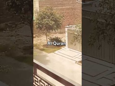 AL QURAN Surah Baqraa Ayat 272,273 Urdu Translation. quran quranrecitation qurantilawat tilawat