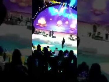 فتاة سعودية منقبة تحضن ماجد المهندس على المسرح