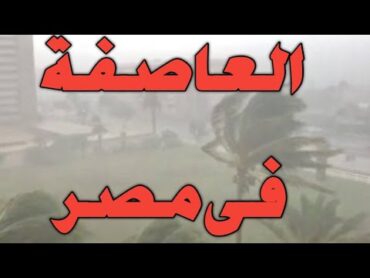 العاصفة وهدى الرسول صلى الله عليه وسلم 3 اشياء مهمة جدا اعرفوها