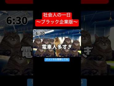 社会人の一日〜ブラック企業版〜 猫マニ 猫ミーム 猫ミーム日常 あるある 社会人 仕事