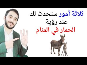 ثلاثة أمور ستحدث لحياتك عند رؤية الحمار في المنام l تفسير حلم رؤيا الحمار والحمير في المنام بالتفصيل