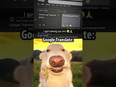 Google translate is too nice 🥰