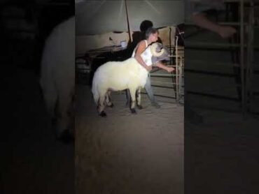 الفحل المعجزة صدق من سماك معجزة اذكرو الله