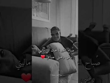 شويه قلت ادب 😱😂😂متابعه وشتراك فدوه🙆‍♀️الهامي شهكة شعر شعبي شعر عراقي رائد ابو فتيان شعر