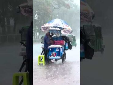 راز عجیب اهرام مصر و قورباغه‌های هند! 😅