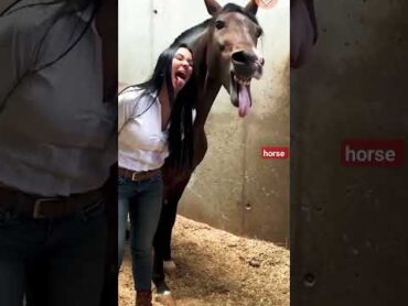 شاهد هل  حصان   ماذا يفعل  فتاه جميله هه😂 horse 🐴