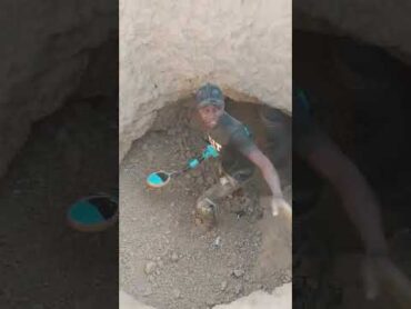 فرحه منقب ذهب بسماع صوت الذهب