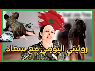 روتيني اليومي الصباحي مع سعاد لوكاس الجميلة ، توحشتكم ،لايك واشتراك حبايبي ♥️🥰💐